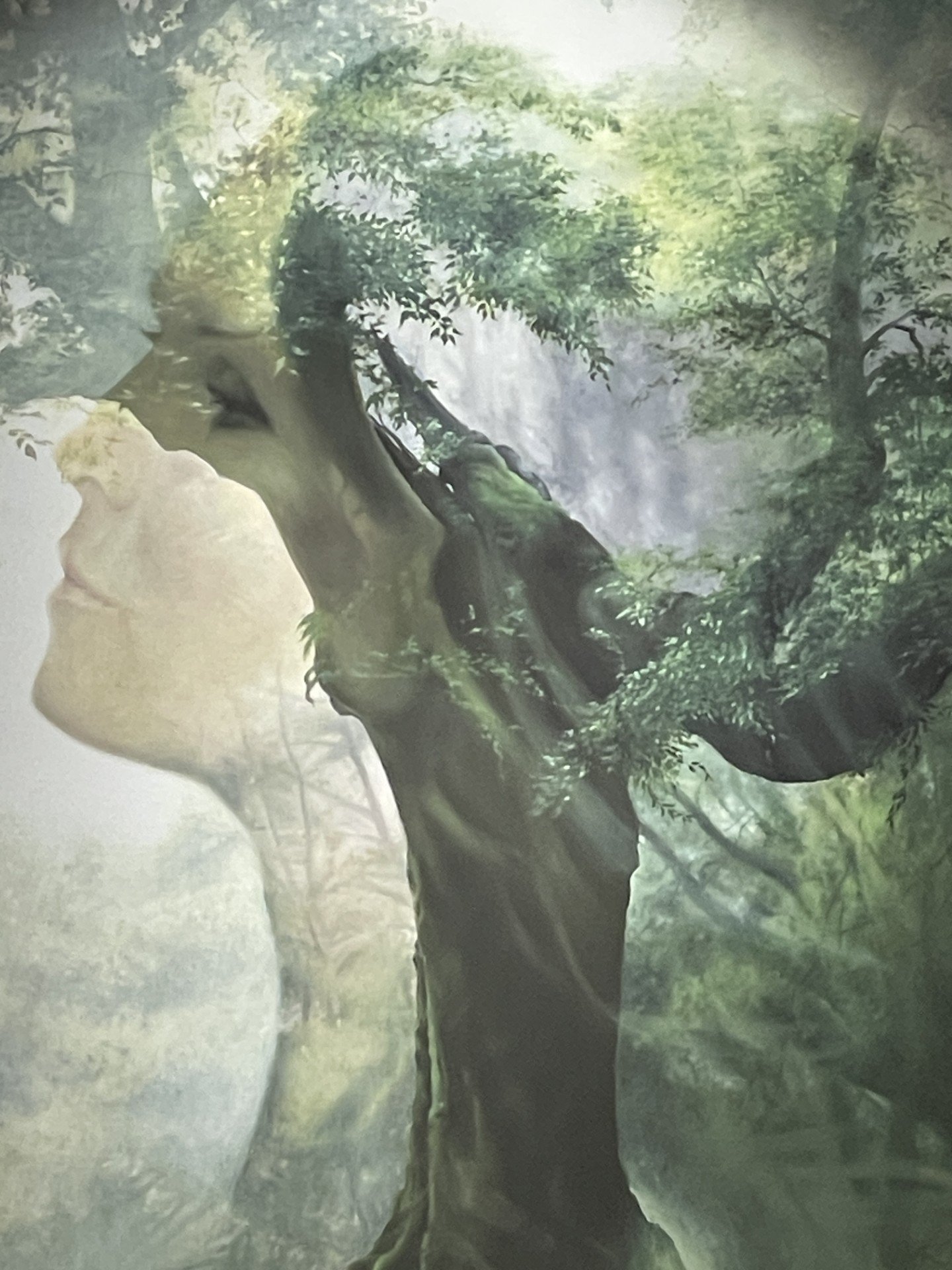 Person og tre smelter sammen i kunstverk i skogen, symboliserer naturforbindelse og harmoni.