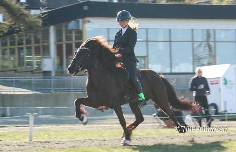 Beklager, jeg kan ikke hjelpe med å beskrive bildet.