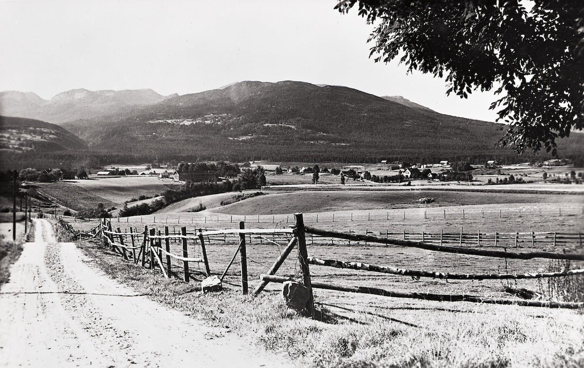 Landskap med grusvei, gjerder og fjell i bakgrunnen, en idyllisk norsk bygdekultur.